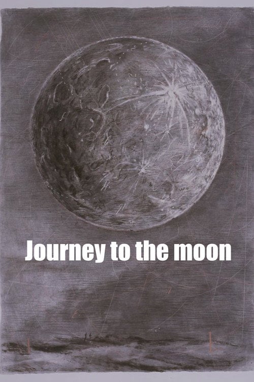 Movie poster for Journey to the Moon (2003)