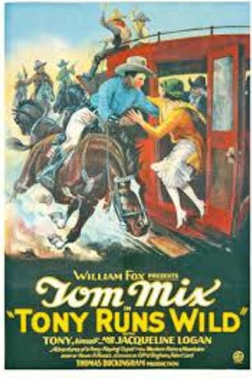 Movie poster for Tony Runs Wild (1926)