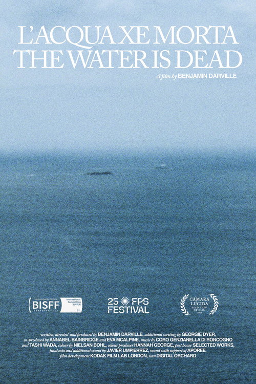 Movie poster for L' Acqua Xe Morta / The Water Is Dead (2025)