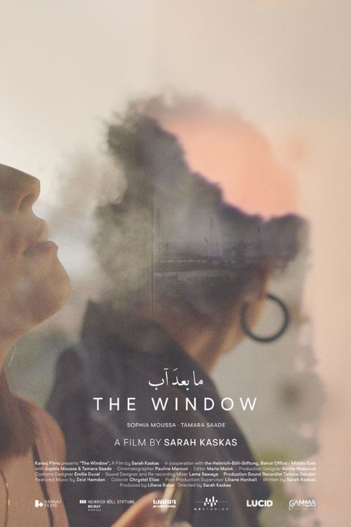 Movie poster for The Window (2022)