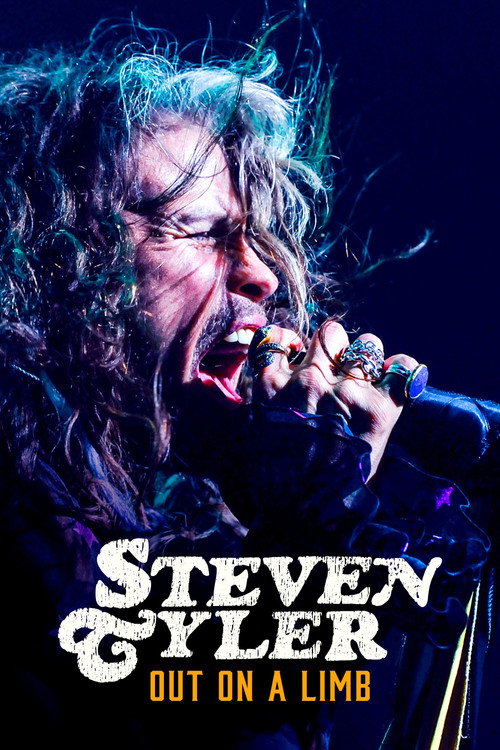 Movie poster for Steven Tyler: Out on a Limb (2018)