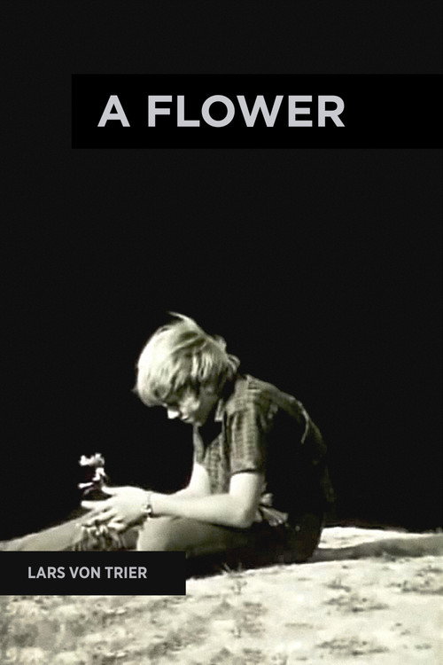Movie poster for A Flower (1971)