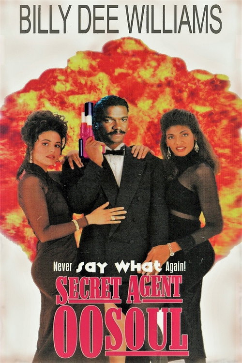 Movie poster for Secret Agent 00 Soul (1990)