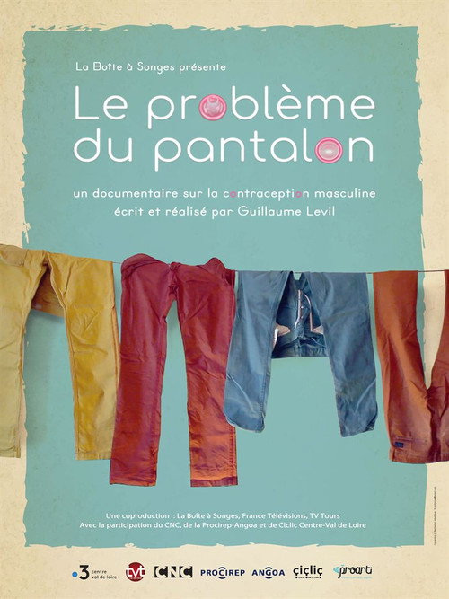 Movie poster for Le problème du pantalon (2020)