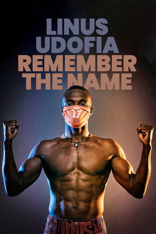 Movie poster for Remember the Name (2016)