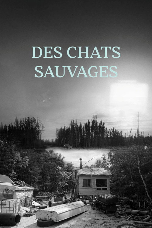 Movie poster for These Wild Cats (2024)