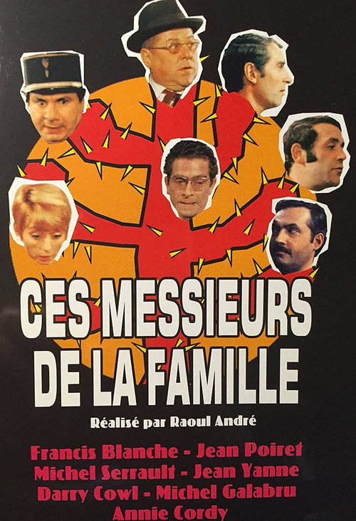 Movie poster for The Men in the Family (1968)