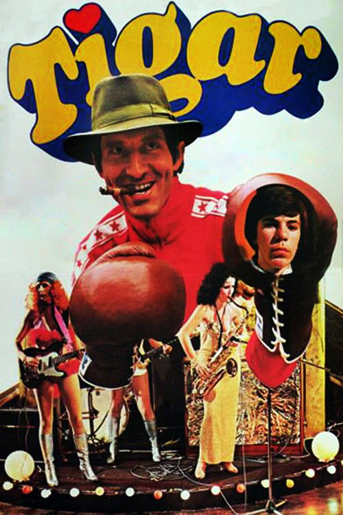 Movie poster for The Tiger (1978)