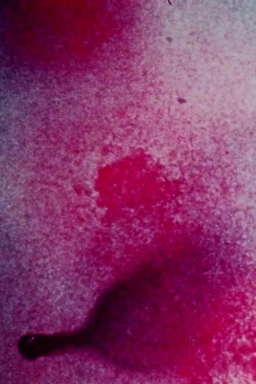 Movie poster for Permutations and Combinations (1976)