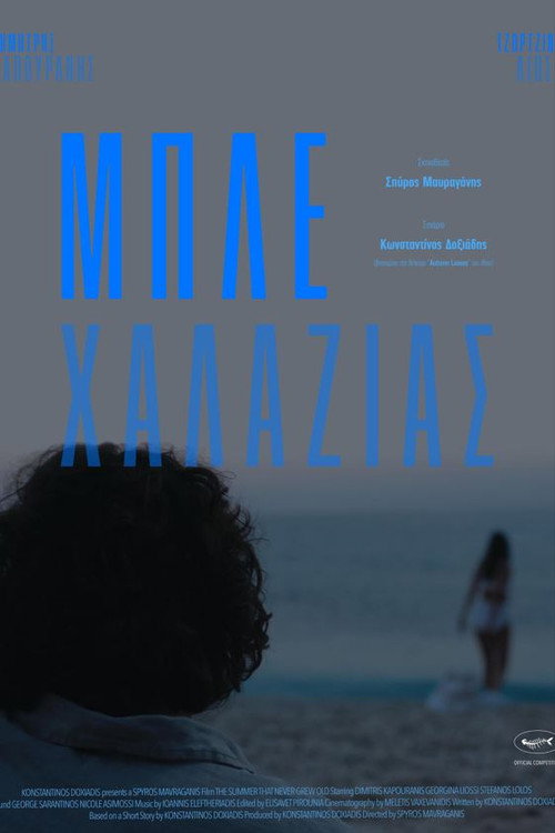 Movie poster for The Summer That Never Grew Old (2023)