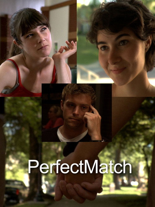 Movie poster for PerfectMatch (2012)