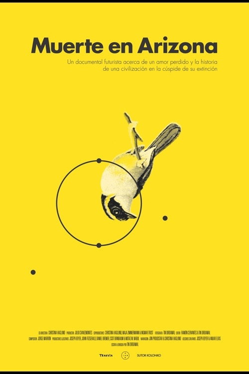 Movie poster for Death in Arizona (2014)