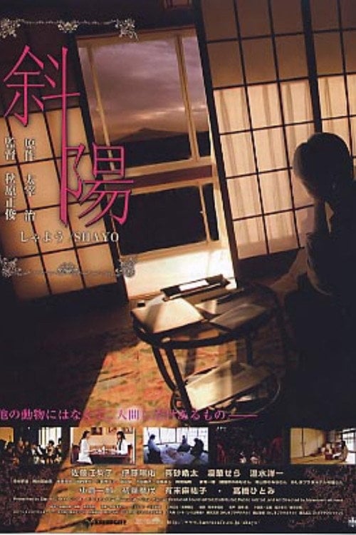 Movie poster for Shayô (2009)