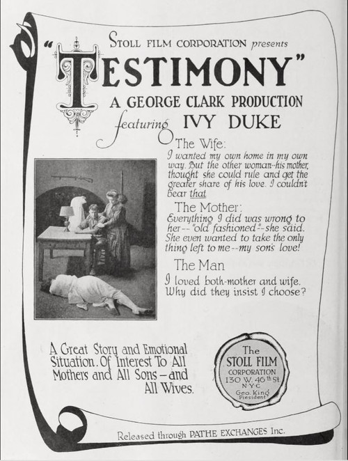 Movie poster for Testimony (1920)