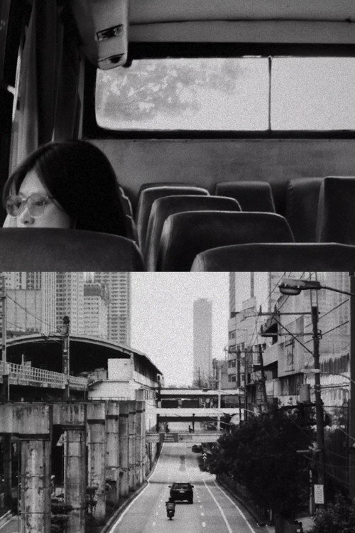 Movie poster for Danita (2025)
