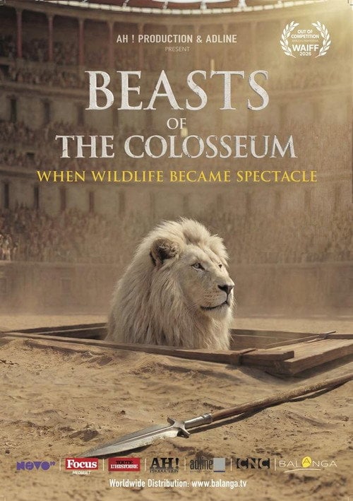 Movie poster for Au coeur de l'arène : la vérité sur les jeux romains (2026)