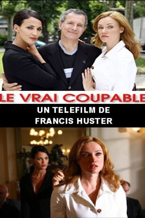 Movie poster for Le Vrai Coupable (2007)