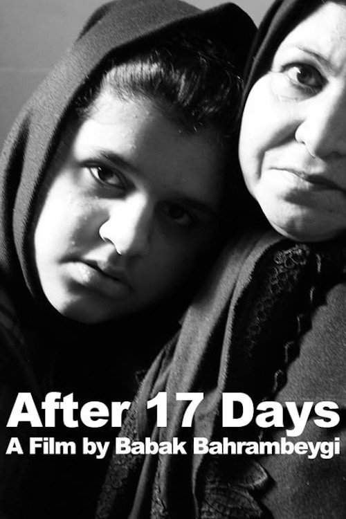 Movie poster for After 17 Days (2011)