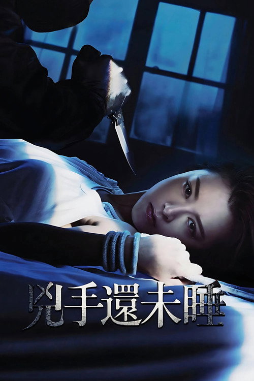 Movie poster for Nessun Dorma (2016)