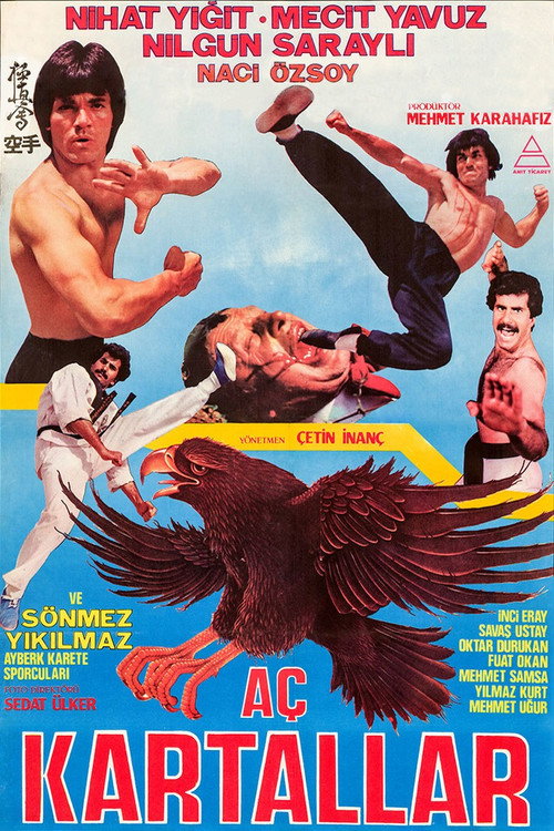 Movie poster for Hungry Eagles (1984)