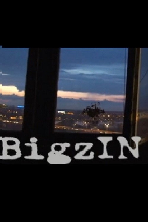 Movie poster for BigzIN (2012)