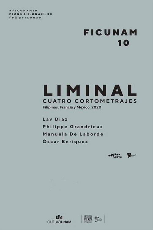 Movie poster for Liminal (2020)
