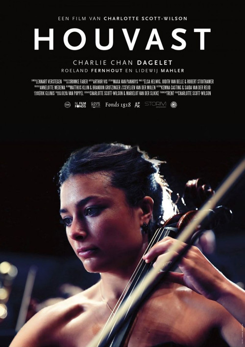 Movie poster for Hold On (2016)