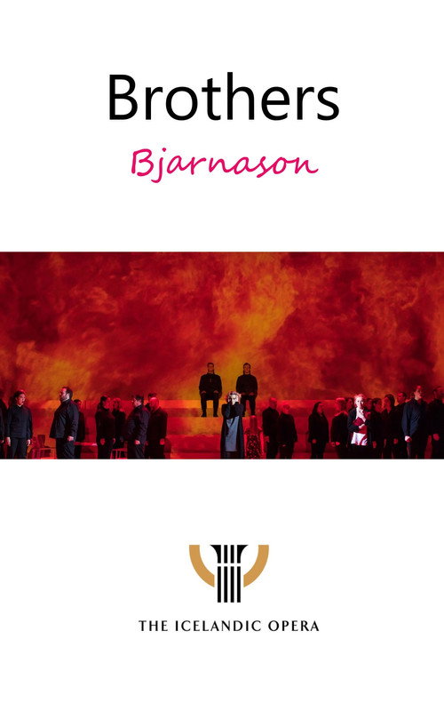 Movie poster for Brothers - Bjarnason (2019)