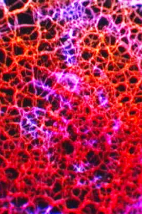 Direction Finder poster