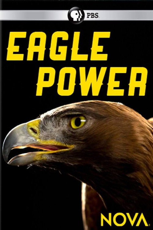 Movie poster for Eagle Power (2020)
