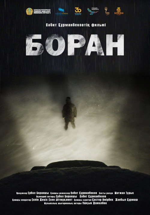 Movie poster for The Snowstorm (2023)