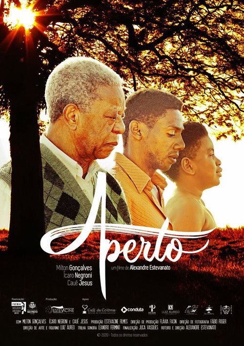 Movie poster for Aperto (2019)