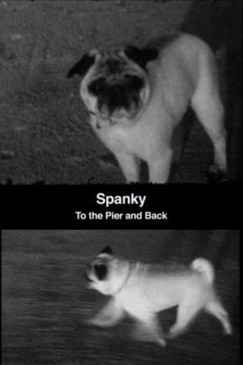 Movie poster for Spanky: To the Pier and Back (2008)