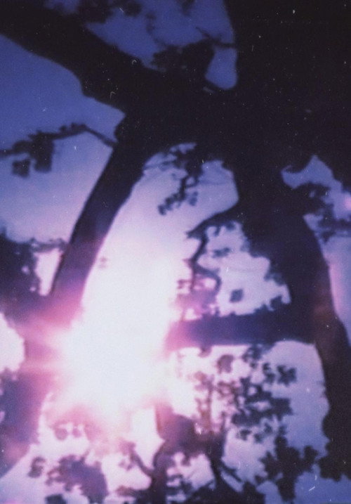 Movie poster for Light Point (1996)