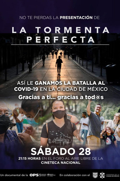 Movie poster for La tormenta perfecta (2022)
