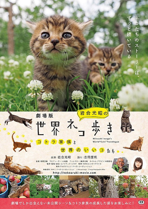 Movie poster for 劇場版 岩合光昭の世界ネコ歩き コトラ家族と世界のいいコたち (2017)