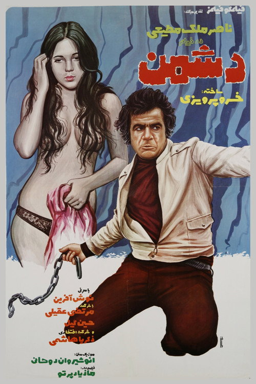 Movie poster for The Enemy (1973)