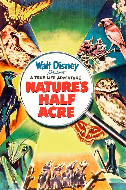Movie poster for Nature's Half Acre (1951)
