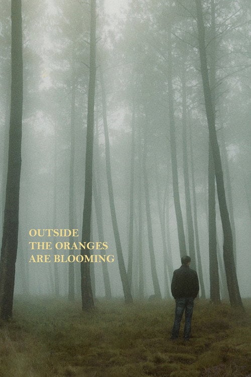 Movie poster for Outside the Oranges Are Blooming (2019)