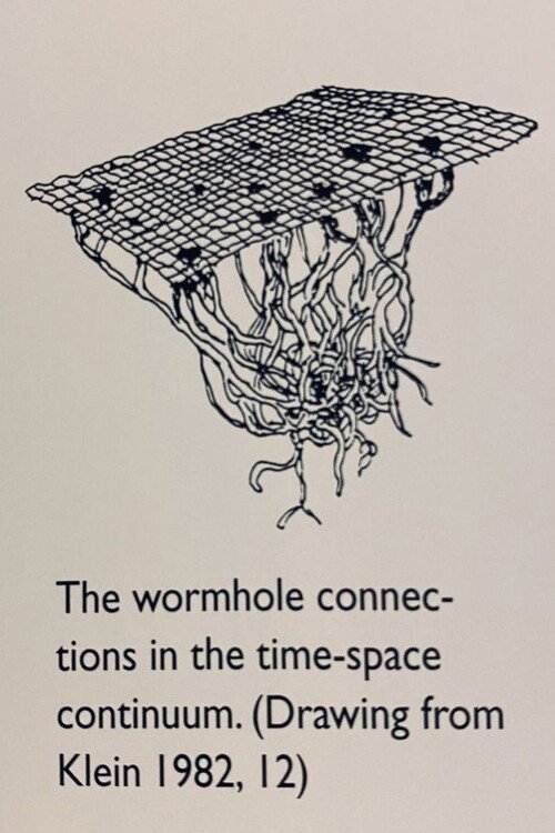 Movie poster for The wormhole connections in the time-space continuum (2025)