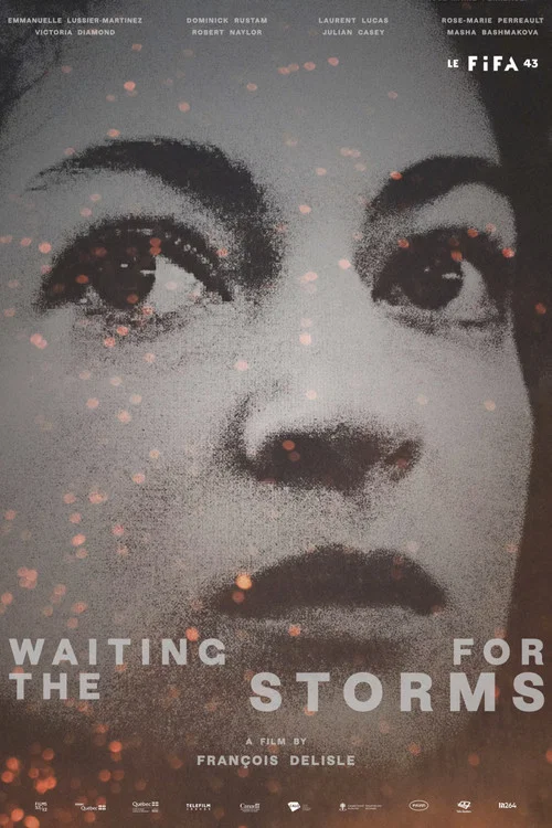 Movie poster for Waiting for the Storms (2025)
