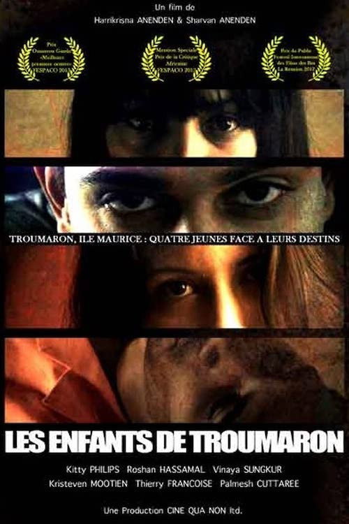 Movie poster for The Children of Troumaron (2012)