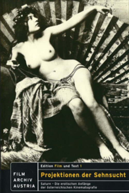 Movie poster for Projektionen der Sehnsucht (1999)