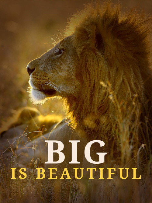 Movie poster for Big is Beautiful (2017)