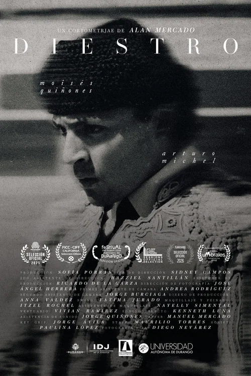 Movie poster for Right Handed