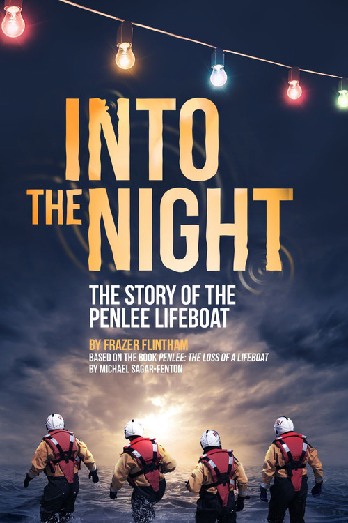 Movie poster for Into the Night (2021)