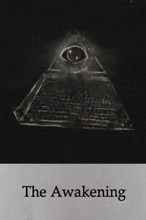 Movie poster for The Awakening (1990)