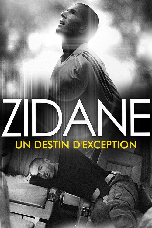 Movie poster for Zidane, un destin d'exception (2007)