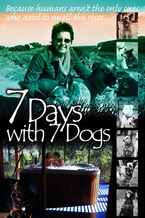 Movie poster for 7 Days with 7 Dogs (2007)