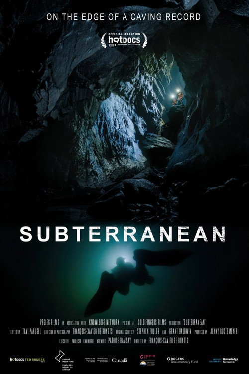 Movie poster for Subterranean (2023)